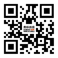 httpshoesbit.com - 副本.png